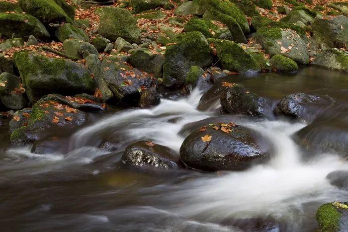 Gerahmter Druck : Wildbach, Torrent Gerahmter Druck : Wildbach, Torrent