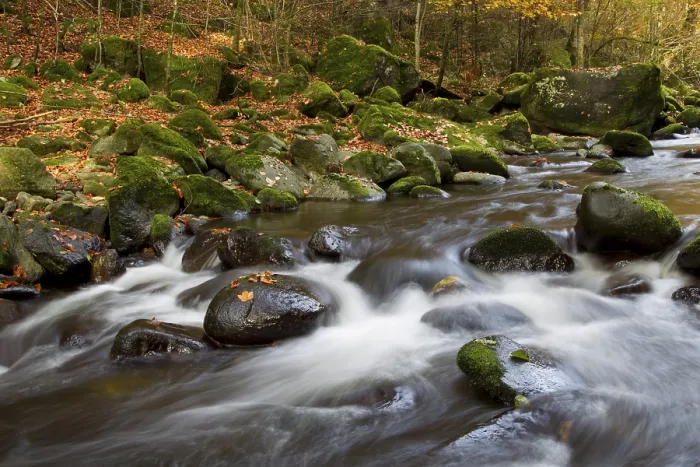 Gerahmter Druck : Wildbach, Torrent Gerahmter Druck : Wildbach, Torrent