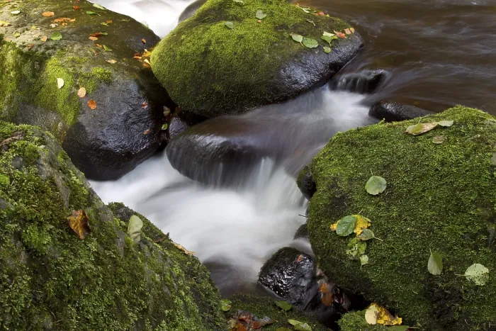 Gerahmter Druck : Wildbach, Torrent Gerahmter Druck : Wildbach, Torrent