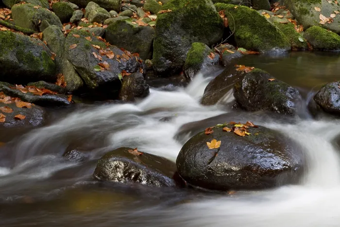 Gerahmter Druck : Wildbach, Torrent Gerahmter Druck : Wildbach, Torrent