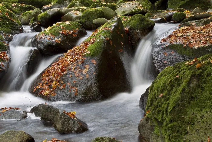 Gerahmter Druck : Wildbach, Torrent Gerahmter Druck : Wildbach, Torrent