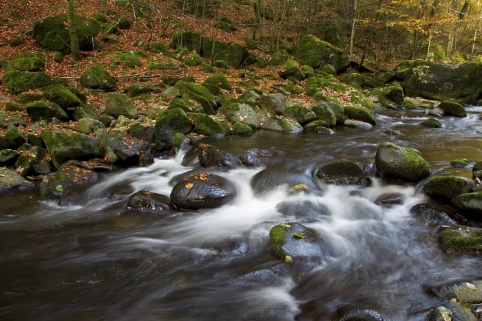 Gerahmter Druck : Wildbach, Torrent Gerahmter Druck : Wildbach, Torrent