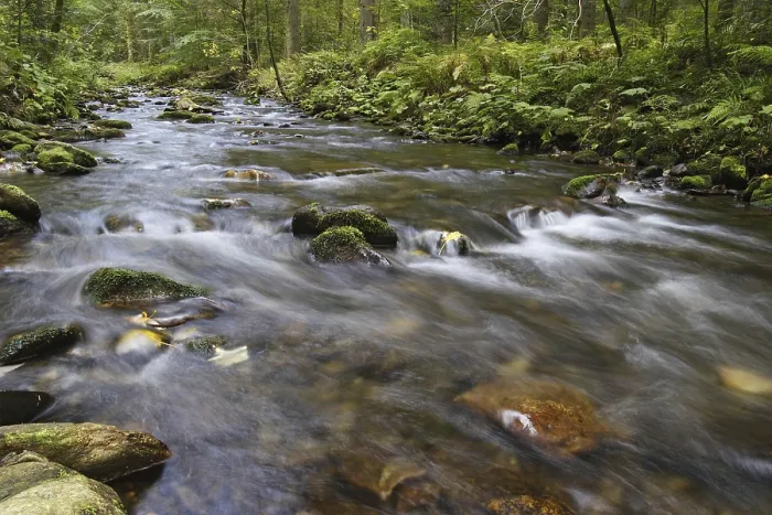 Gerahmter Druck : Wildbach, Torrent Gerahmter Druck : Wildbach, Torrent