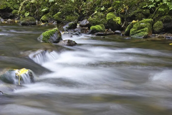 Gerahmter Druck : Wildbach, Torrent Gerahmter Druck : Wildbach, Torrent