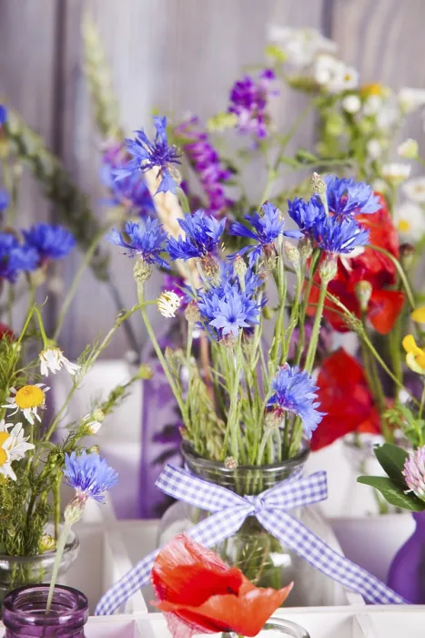 Gerahmter Druck : Wilde Blumen in Flaschen im Karton. Gerahmter Druck : Wilde Blumen in Flaschen im Karton.