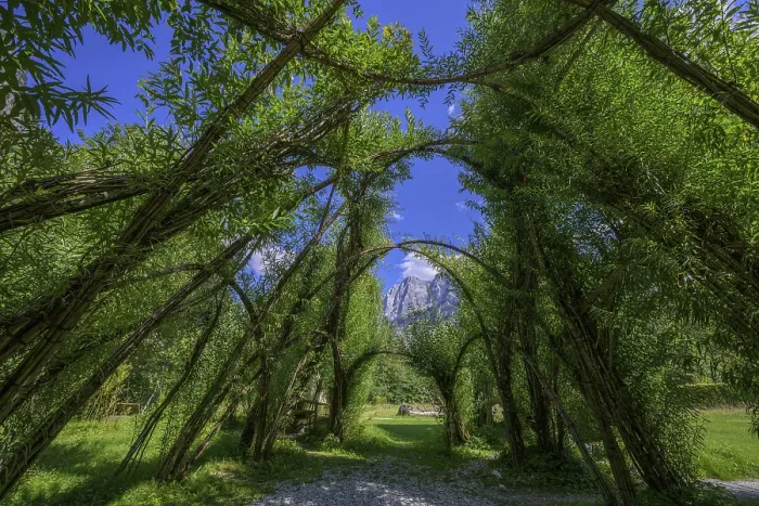 Gerahmter Druck : Willow Dome im Hintergrund Planspitze Gerahmter Druck : Willow Dome im Hintergrund Planspitze