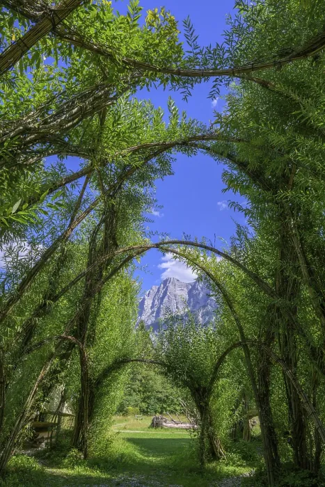 Gerahmter Druck : Willow Dome im Hintergrund Planspitze Gerahmter Druck : Willow Dome im Hintergrund Planspitze
