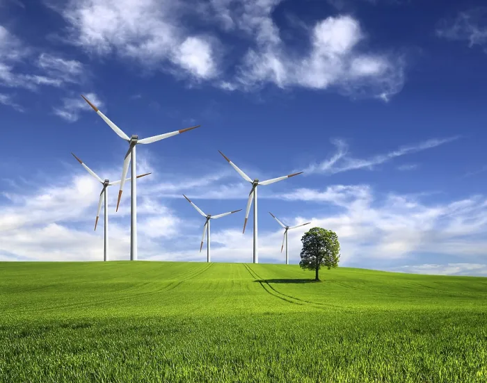 Gerahmter Druck : Wind der Veränderung Gerahmter Druck : Wind der Veränderung