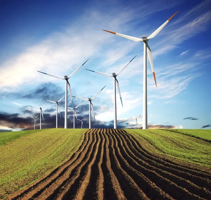 Gerahmter Druck : Wind der Veränderung Ökologie Gerahmter Druck : Wind der Veränderung Ökologie