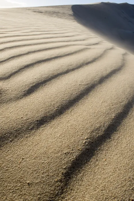 Gerahmter Druck : Der Wind erzeugt eine Wellenbewegung auf einer Düne, als er den Sand über die Kante bläst. Gerahmter Druck : Der Wind erzeugt eine Wellenbewegung auf einer Düne, als er den Sand über die Kante bläst.