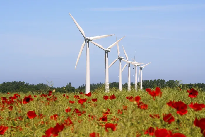 Gerahmter Druck : Windmotor