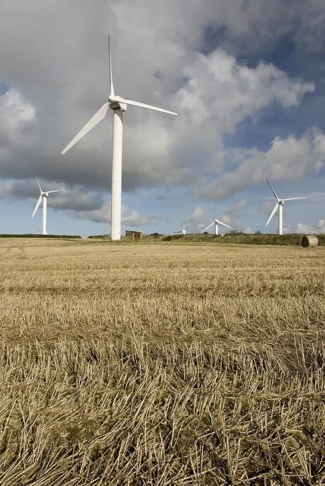 Gerahmter Druck : Windpark, Cornwall, UK Gerahmter Druck : Windpark, Cornwall, UK