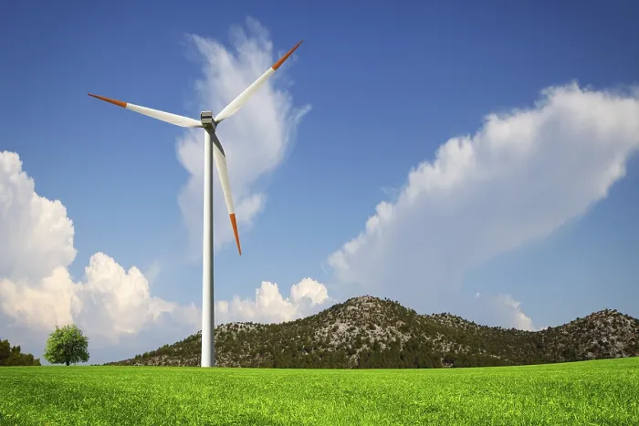 Gerahmter Druck : Wind und grüne Natur Gerahmter Druck : Wind und grüne Natur