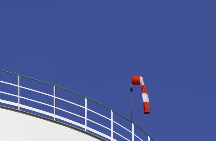 Gerahmter Druck : Windfahne. Ein sanfter Wind weht durch die Blätter Gerahmter Druck : Windfahne. Ein sanfter Wind weht durch die Blätter