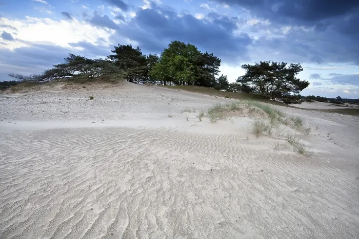 Gerahmter Druck : Windtextur auf Sanddüne an einem bewölkten Tag. Gerahmter Druck : Windtextur auf Sanddüne an einem bewölkten Tag.