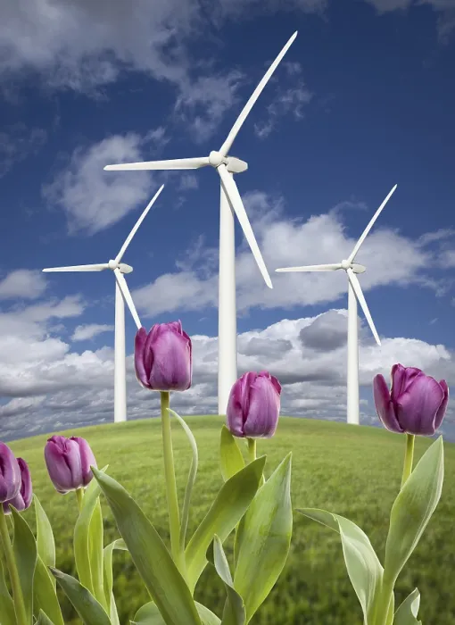 Gerahmter Druck : Windräder gegen dramatischen Himmel. Gerahmter Druck : Windräder gegen dramatischen Himmel.