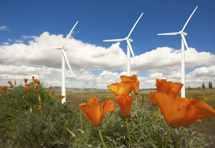Gerahmter Druck : Windräder gegen dramatischen Himmel.