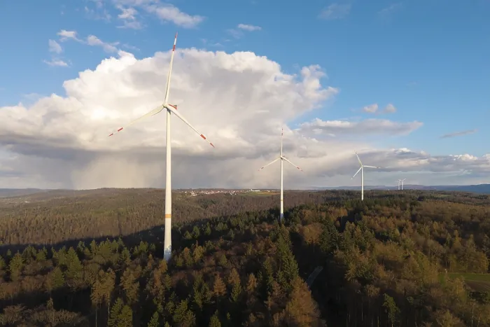 Gerahmter Druck : Drei Windräder im Wald. Gerahmter Druck : Drei Windräder im Wald.