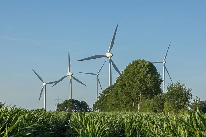 Gerahmter Druck : Windräder, Bäume und Maisfeld in Melbeck Gerahmter Druck : Windräder, Bäume und Maisfeld in Melbeck