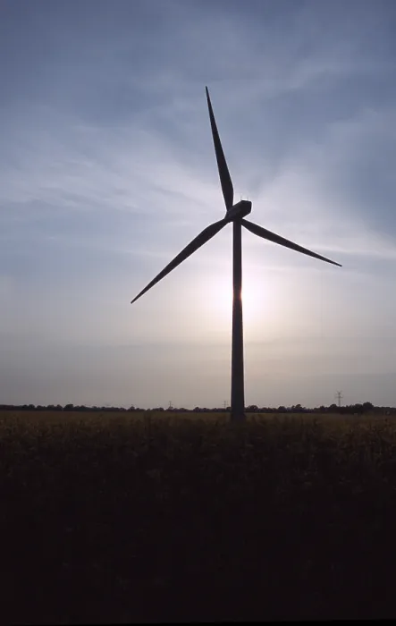 Gerahmter Druck : Windräder Gerahmter Druck : Windräder