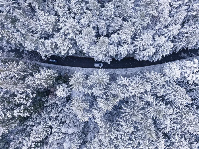 Gerahmter Druck : Ein windender Weg führt durch einen winterlichen Wald. Gerahmter Druck : Ein windender Weg führt durch einen winterlichen Wald.
