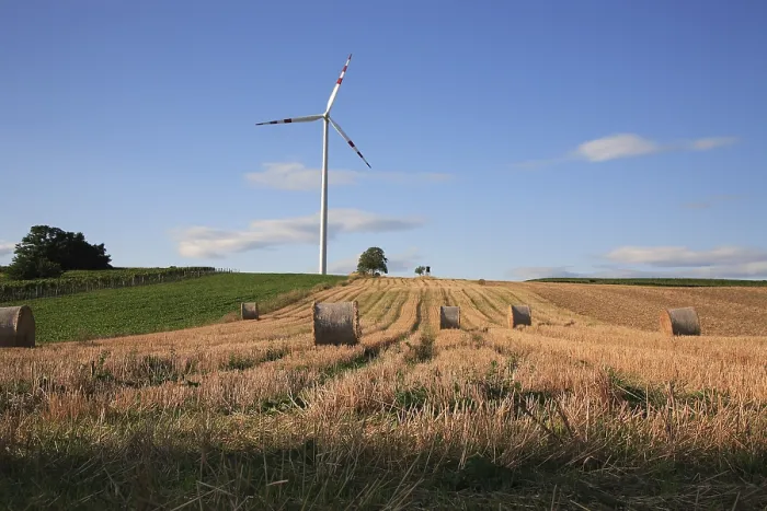 Gerahmter Druck : Windmill Gerahmter Druck : Windmill