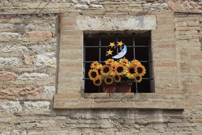 Gerahmter Druck : Fenster mit einer Handvoll Plastikblumen. Gerahmter Druck : Fenster mit einer Handvoll Plastikblumen.