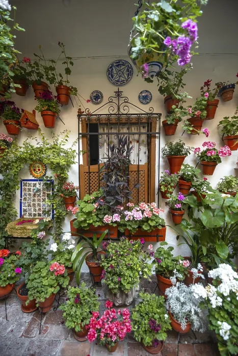 Gerahmter Druck : Fenster im Hof mit Blumen dekoriert.