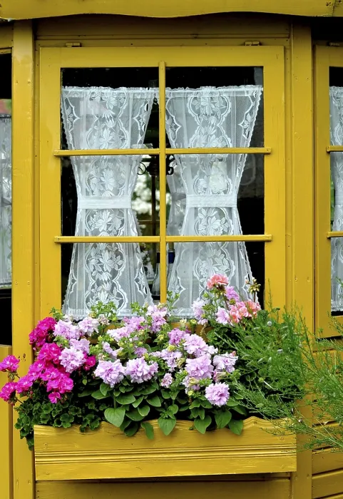 Gerahmter Druck : Fenster mit Geranien draußen. Gerahmter Druck : Fenster mit Geranien draußen.