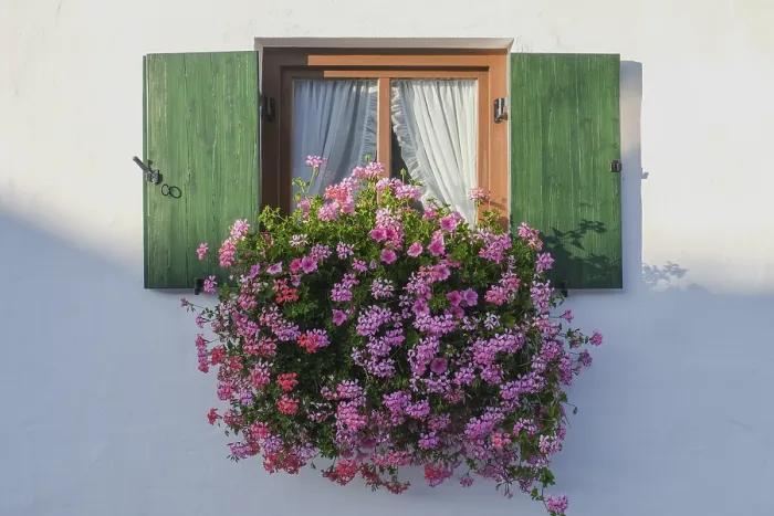 Gerahmter Druck : Fenster mit grünen Läden, Abendlicht. Gerahmter Druck : Fenster mit grünen Läden, Abendlicht.