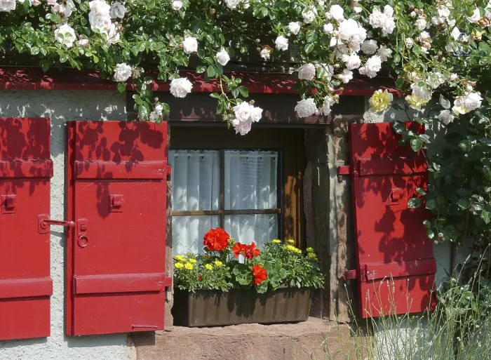 Gerahmter Druck : Fenster mit Läden, verschiedene Blumen.