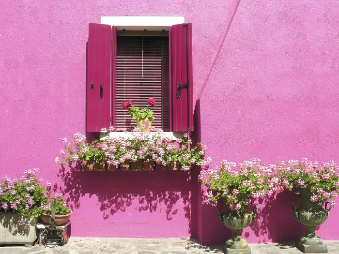 Gerahmter Druck : Fenster in Burano Gerahmter Druck : Fenster in Burano