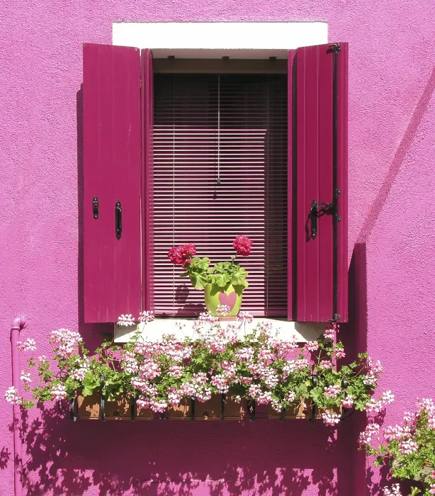 Gerahmter Druck : Fenster in Burano Gerahmter Druck : Fenster in Burano