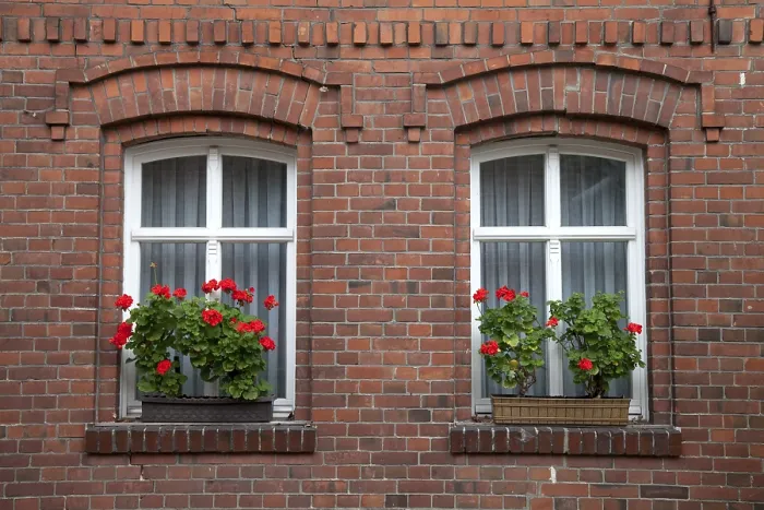 Gerahmter Druck : Fenster mit blühenden Geranien.