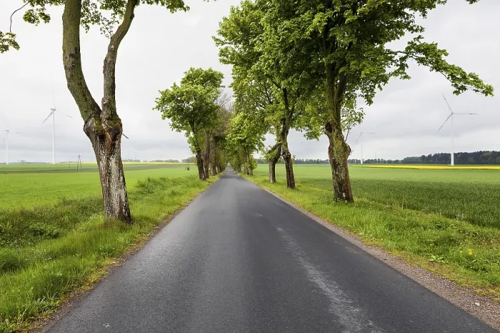 Gerahmter Druck : Windige Straße Gerahmter Druck : Windige Straße