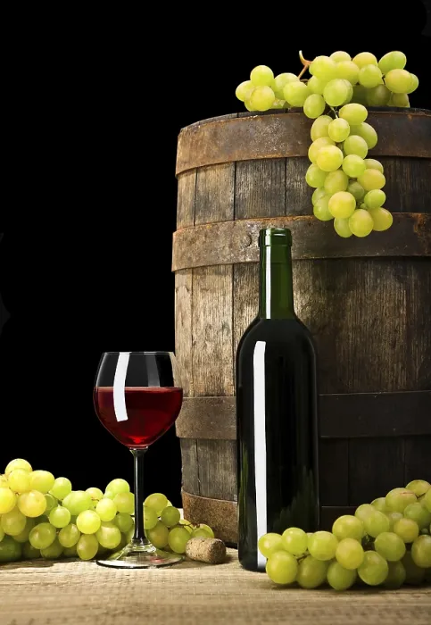Gerahmter Druck : Weinbeschaffenheit Gerahmter Druck : Weinbeschaffenheit