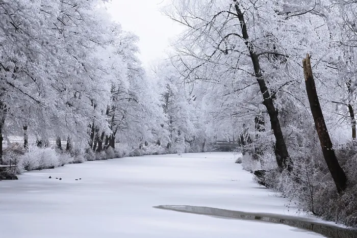 Gerahmter Druck : Winter Gerahmter Druck : Winter
