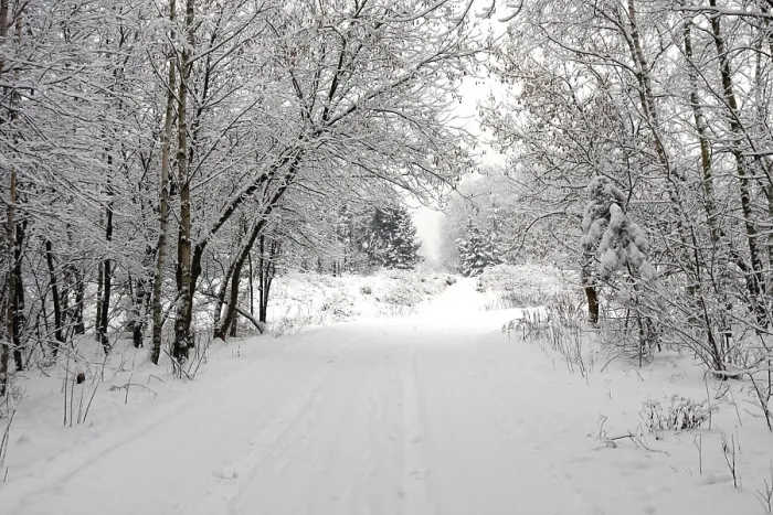 Gerahmter Druck : Winter Gerahmter Druck : Winter