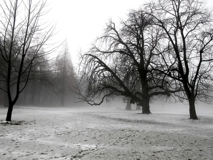 Gerahmter Druck : Winter Gerahmter Druck : Winter