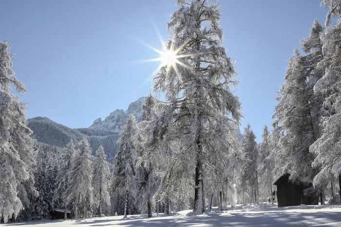 Gerahmter Druck : Winter Gerahmter Druck : Winter
