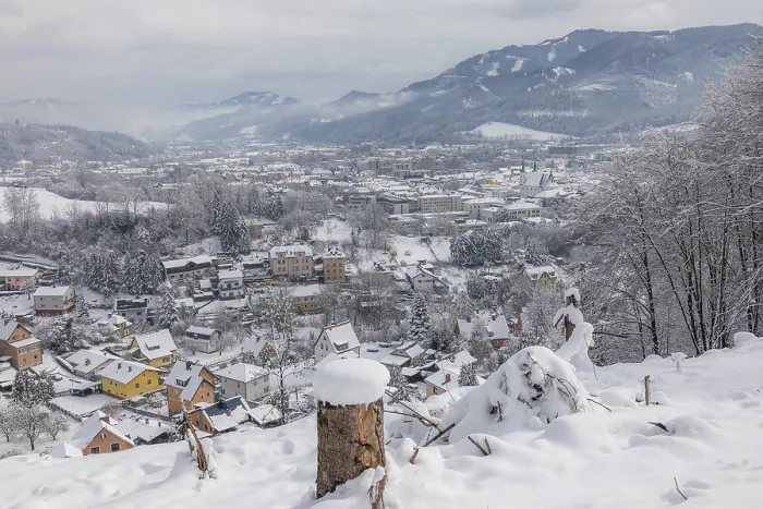 Gerahmter Druck : Winteratmosphäre am Rande des Waldes. Gerahmter Druck : Winteratmosphäre am Rande des Waldes.