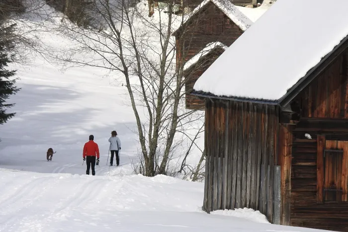 Gerahmter Druck : Winter in Österreich Gerahmter Druck : Winter in Österreich