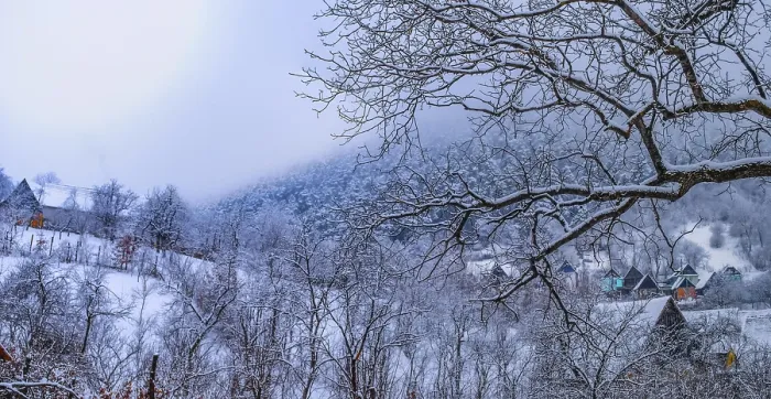 Gerahmter Druck : Winterfarben Gerahmter Druck : Winterfarben