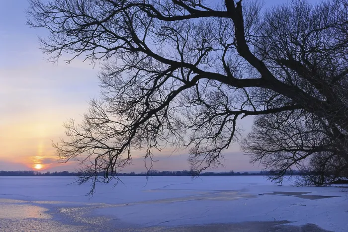 Gerahmter Druck : Winterabend am Dummersee. Gerahmter Druck : Winterabend am Dummersee.