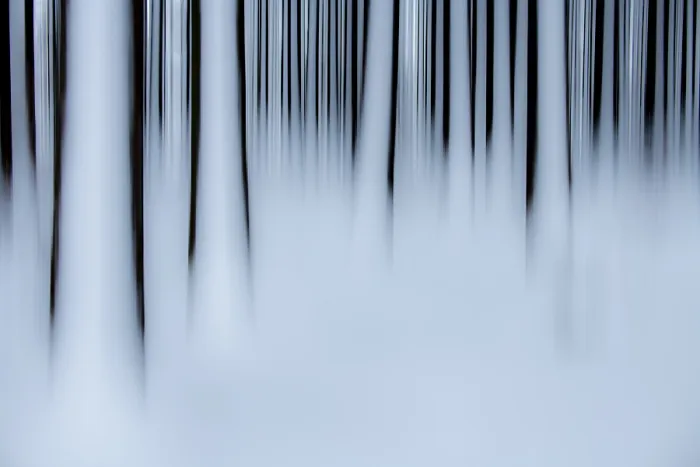 Gerahmter Druck : Winterwald künstlerisch verschwommen. Gerahmter Druck : Winterwald künstlerisch verschwommen.