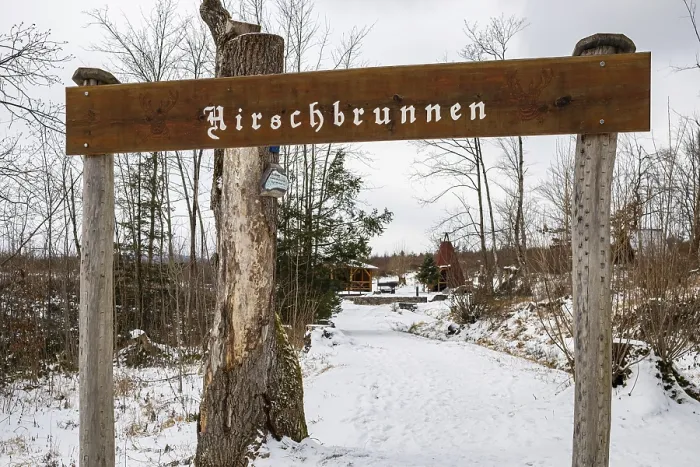 Gerahmter Druck : Wanderung im Winter Elbingerode Harz Gerahmter Druck : Wanderung im Winter Elbingerode Harz