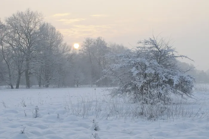 Gerahmter Druck : Winterlandschaft Gerahmter Druck : Winterlandschaft