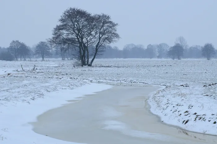Gerahmter Druck : Winterlandschaft Gerahmter Druck : Winterlandschaft