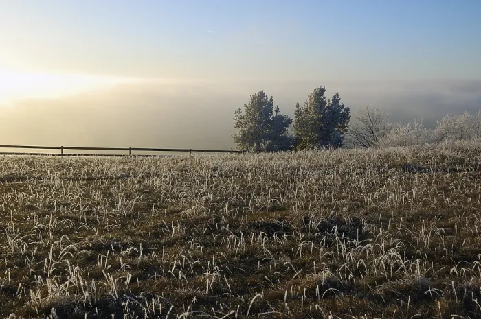 Gerahmter Druck : Winterlandschaft Gerahmter Druck : Winterlandschaft