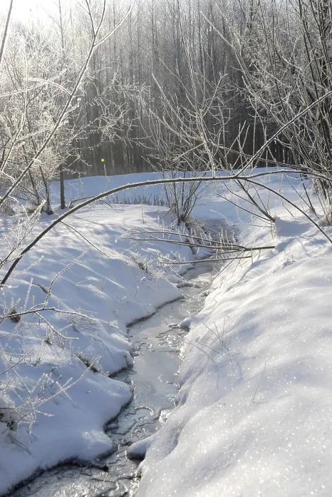 Gerahmter Druck : Winterlandschaft Gerahmter Druck : Winterlandschaft